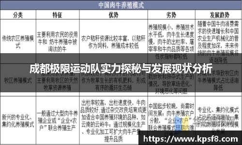 成都极限运动队实力探秘与发展现状分析